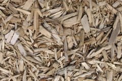 biomass boilers Ardheslaig